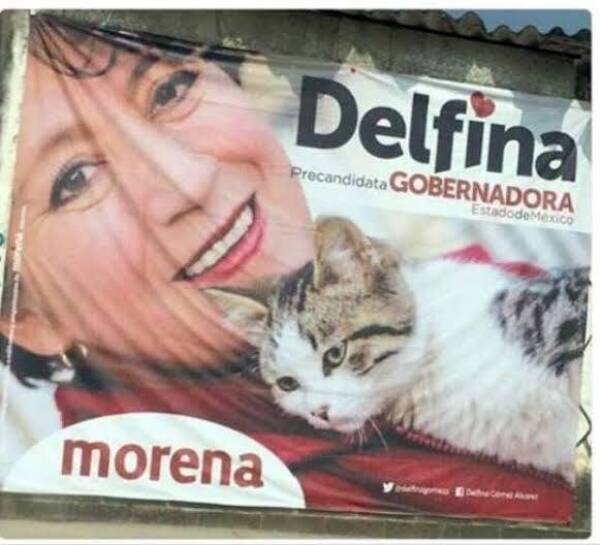 Delfina posando con gato un bebé