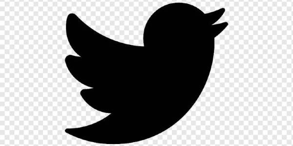 Twitter Logo